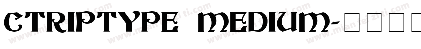 CTRIPTYPE MEDIUM字体转换